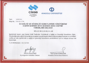 GEOTEKNIK MUHENDISLIK ISG IS GUVENLIGI BELGESI 300x212 - GEOTEKNIK_MUHENDISLIK-ISG-IS-GUVENLIGI-BELGESI