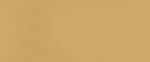 fancy 300x125 - fancy